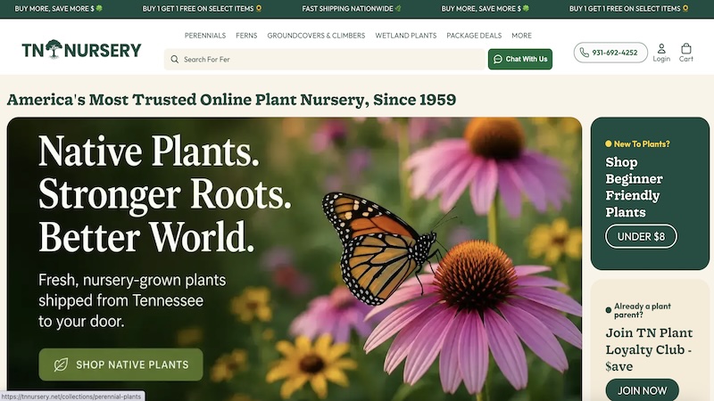 TN Nursery